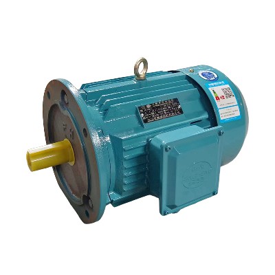 FH series motor